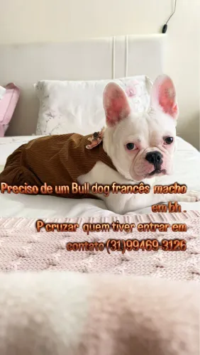 Para cruzar