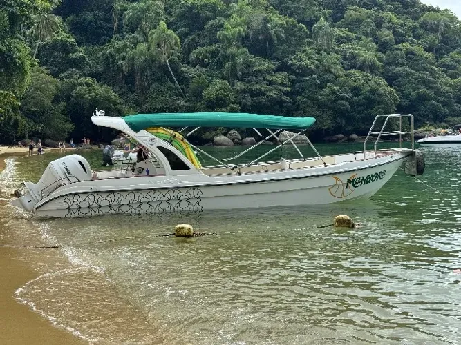 Lancha Vitare 830, capacidade 15+1 com motor de 200hp, impecável!