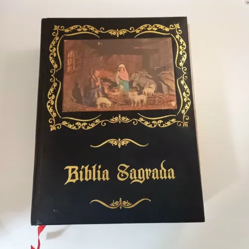 Biblia Católica Stampley Dourado Impecável