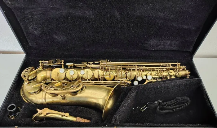 Sax alto Shelter 