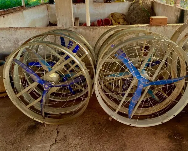 Ventiladores industriais trifásicos 