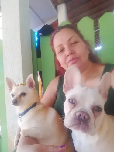 Preciso de um namorado para minha buldog