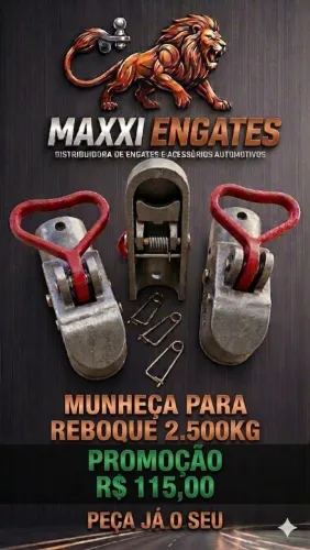 MUNHECAS / BOLA PARA ENGATE / TOMADA MACHO E FÊMEA CROMADAS 6 POLOS