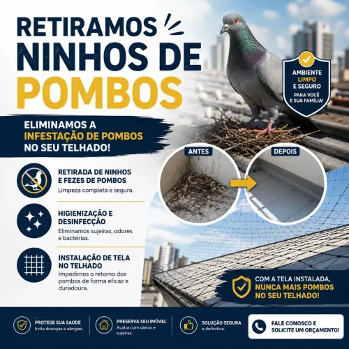 ? Retirada de Pombos + Instalação de Tela de Proteção | RRREFORMA