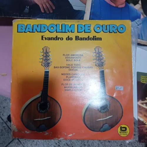 Disco de vinil