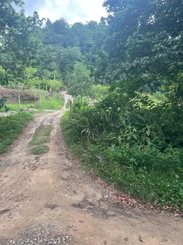 Ótima Granja 2,8 hec, Não Tem Casa, Poço Artesiano, Riacho Perene, Guabiraba, Aceito Carro
