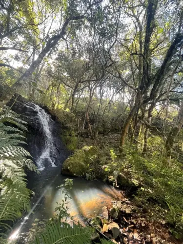 Terreno Rural de 24 Hectares  Na Rota das Vinícolas da Serra Catarinense!