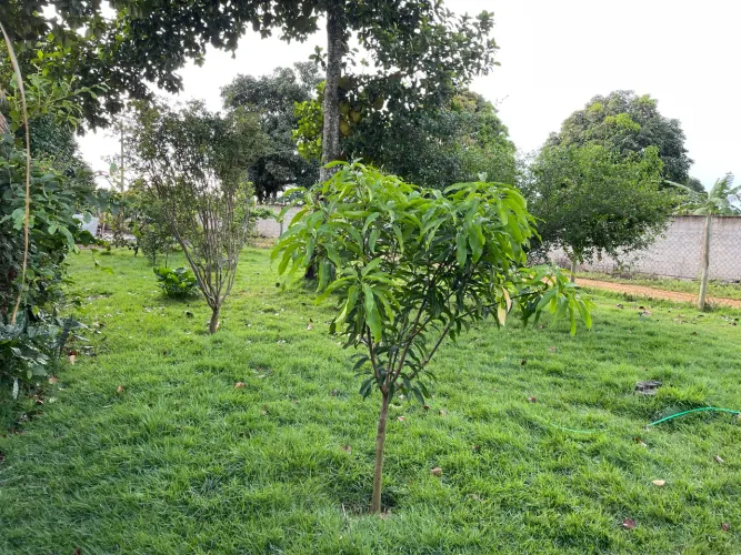 Terreno 570m2 em Santa Monica