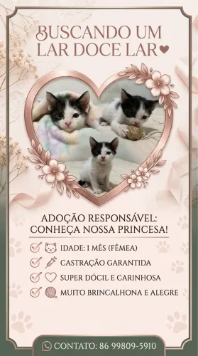 Adoção responsável