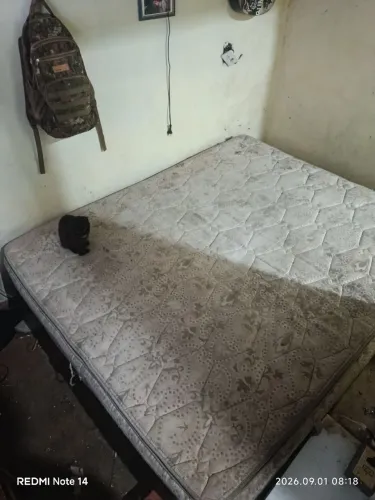 Cama Queen Size usada