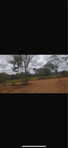 Oportunidade! Lote Quitado de 1.000m² por R$ 69 Mil