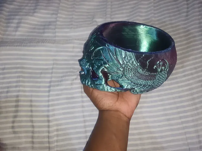 Cranio decorativo