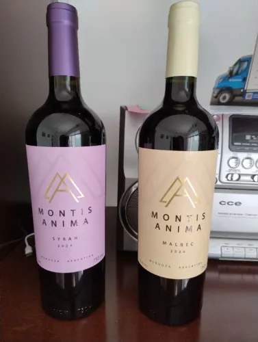 Vinho
