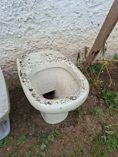 Vaso sanitário privada 