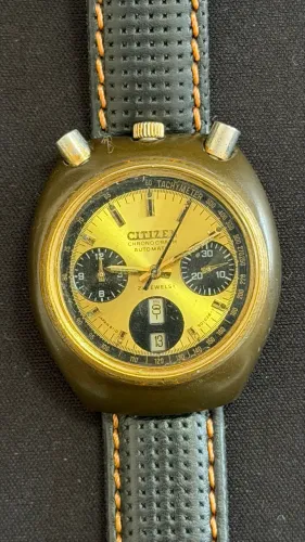 Citizen Bullhead 