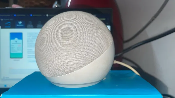 Alexa echo dor