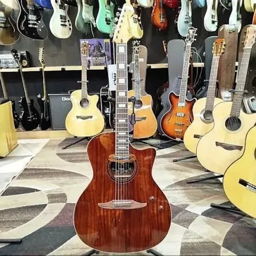 Violão Vintage REVO ELEKTRA Acacia Silk