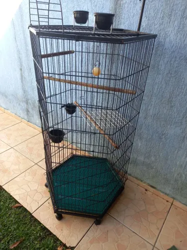 Viveiro para papagaio
