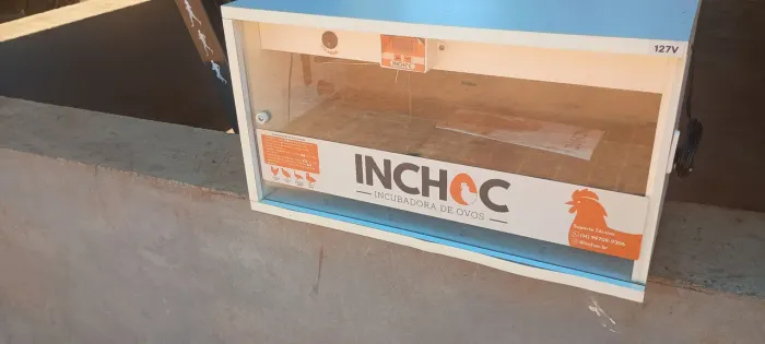 Chocadeira automática para 50 ovos inchoc