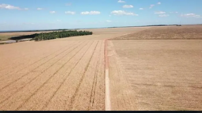 Fazenda 35 mil hect no vale do Araguaia R$:750 milhões 