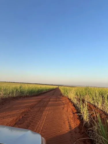 Fazenda 100 alq. Mun. Cachoeira alta Goiás 25 milhões