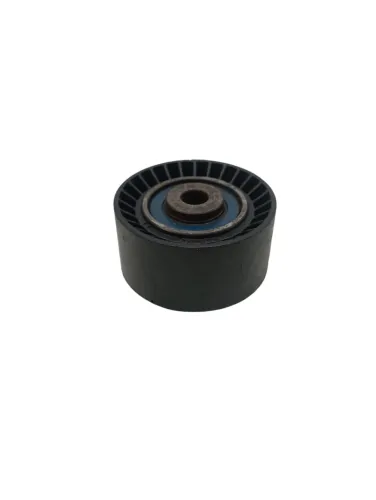 Polia Rolamento Peugeot 1.6 16v 2003 2004 2005 2008 2009 10