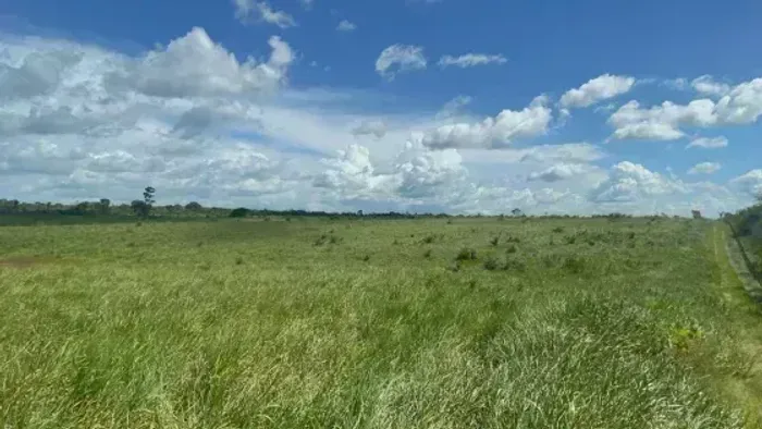 Fazenda à venda, 740 hectares,  terra muito fértil, São Domingos de Capim/PA