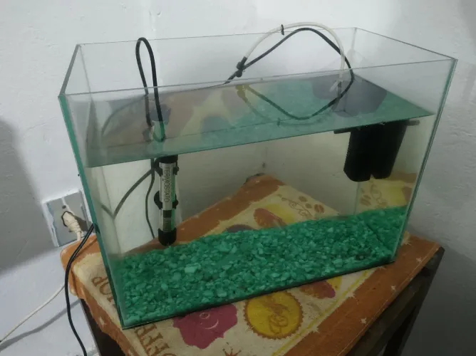 Aquário