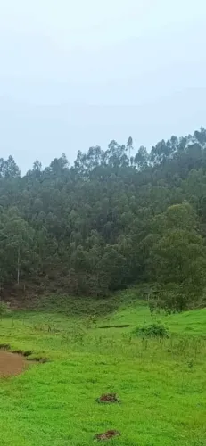 BLACK  SÍTIOS 2.900-SEM RIO-VISTA PANORÂMICA-MIRANTE-ACEITO MARCENARIA-ENERGI SOLAR