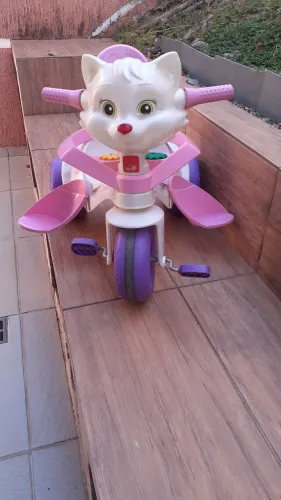 Triciclo Bandeirantes da Gatinha. 