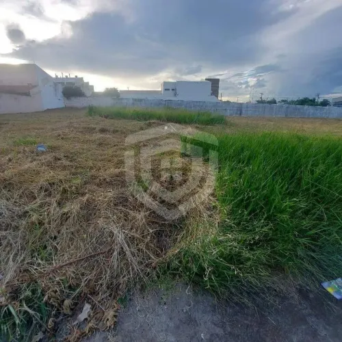 Lote plano | 432M² | Jardim Terra Branca