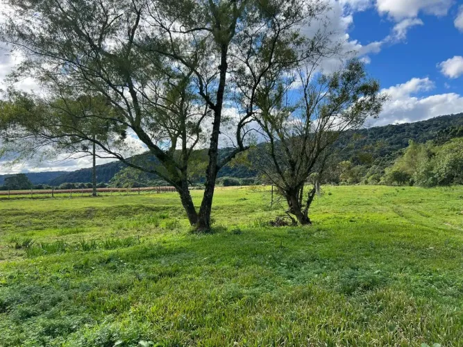 9,3 hectares em local desejado de Urubici na Serra Catarinense