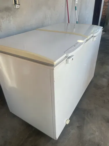 Freezer Electrolux