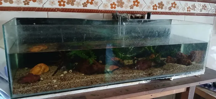 Aquário
