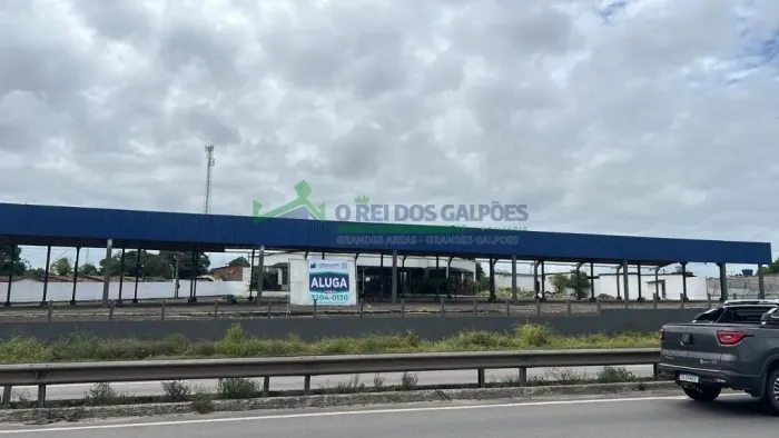 O REI DOS GALPÕES Aluga Galpão na BR 230