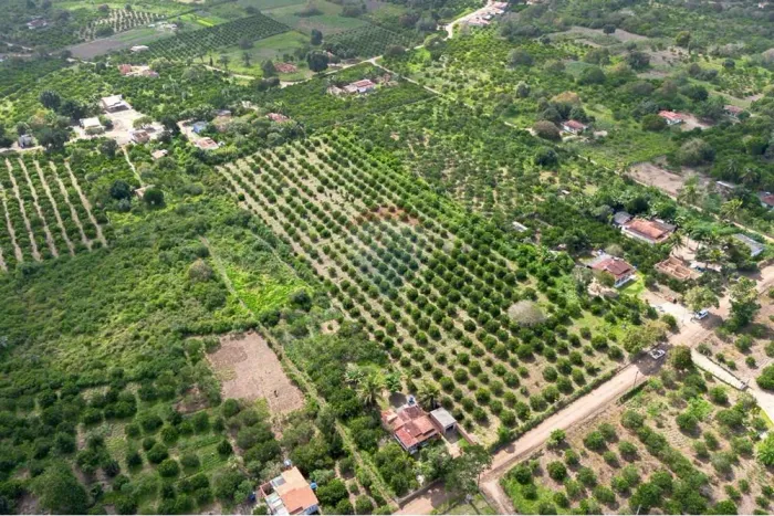 Chácara, Sítio 3,5 Tarefas, Boca da Mata em Sapeaçu - BA (apenas 4km da BR 101)