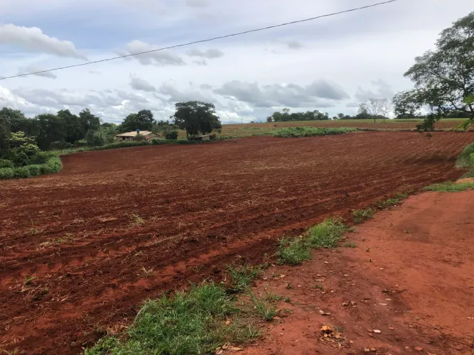 Terra pra alugar para plantio