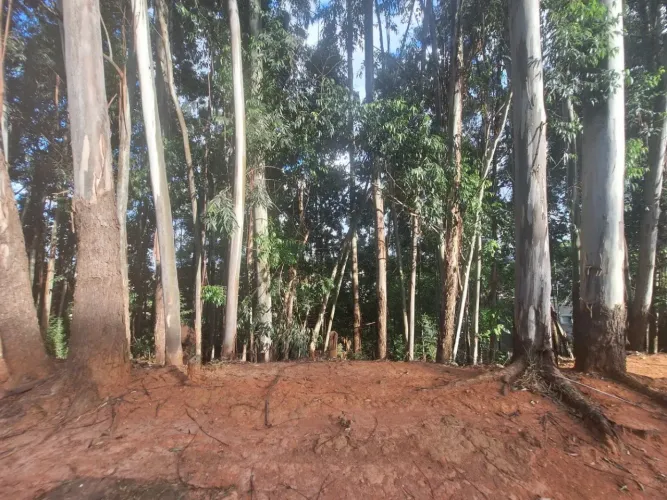 Lote a venda no Tamboré 1 Alphaville 1.774 M valor de OPORTUNIDADE