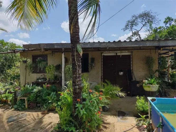 sítio localizado são Lourenço da mata