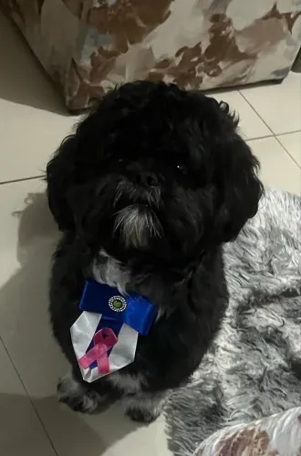 Procurando uma namoradinha