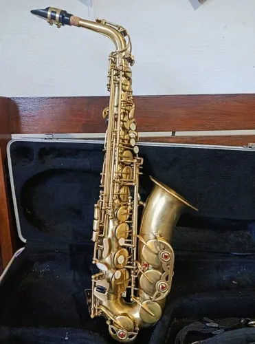 Saxofone Alto Vogga Revisado Envio Imediato para Todo Brasil
