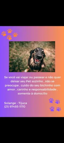 Hospedagem responsável 