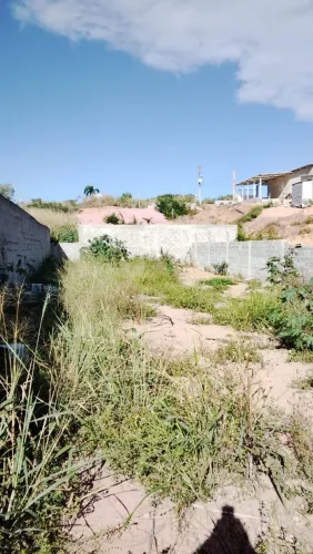 Vendo terreno 