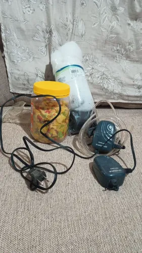Aquário lindo