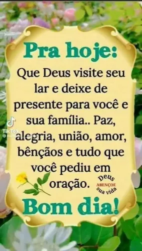 Babá faxina 