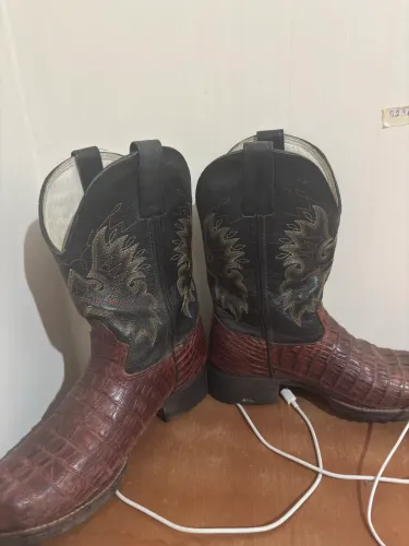 Bota