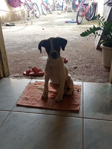 Doação responsável 