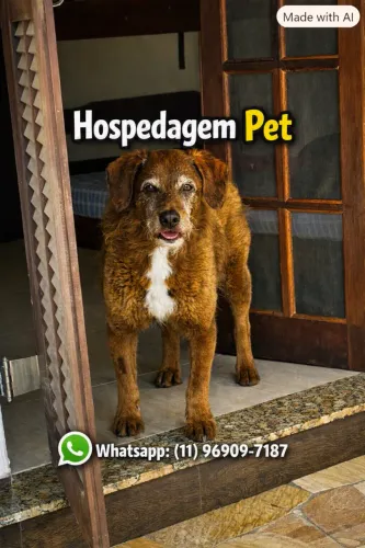 Hospedagem Pet em Ubatuba - SP