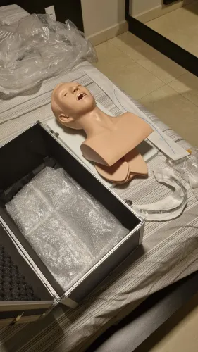 Modelo de intubação adulto