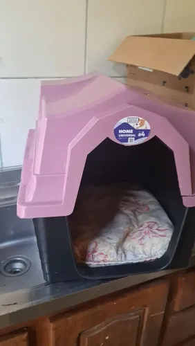 Casinha para cachorro de porte médio. 